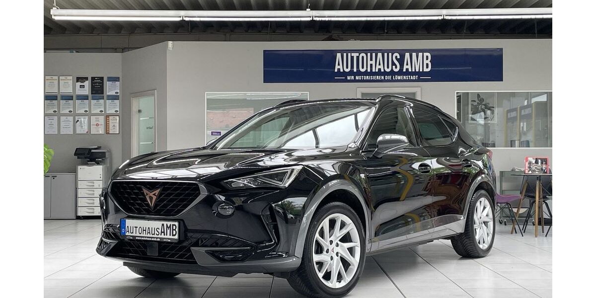 Cupra Formentor 82.853 km 20.700 &euro; Braunschweig 38122