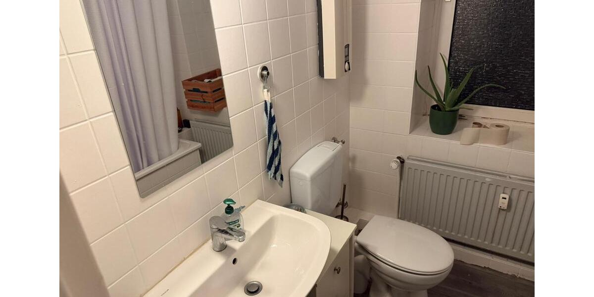 Erdgeschoßwohnung Braunschweig Nordstadt - 1 Zimmer, 16 m&sup2;, 345&euro; | Angebot:24456848