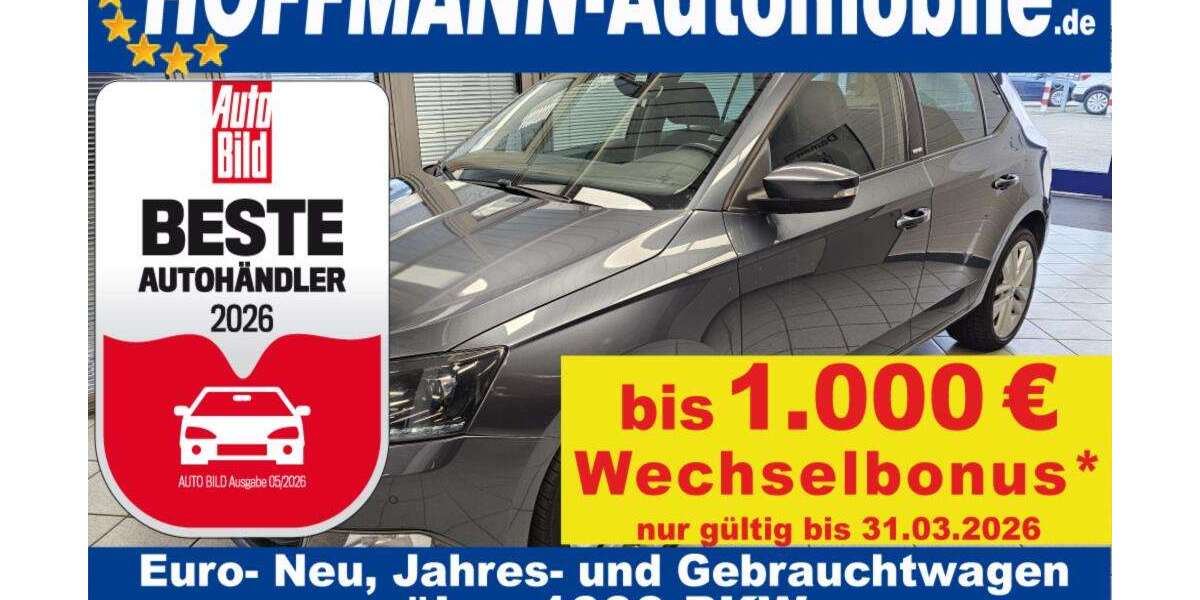 Skoda Fabia 117.834 km 10.400 &euro; Wolfsburg Heiligendorf 38444