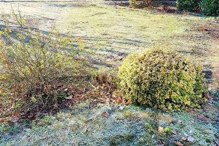 Grundstück Wolfenbüttel - 182.000&euro; | Angebot:25047929