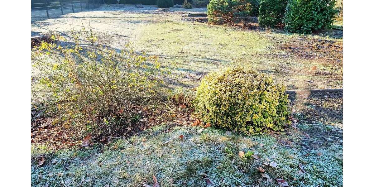 Grundstück Wolfenbüttel - 182.000&euro; | Angebot:25047929