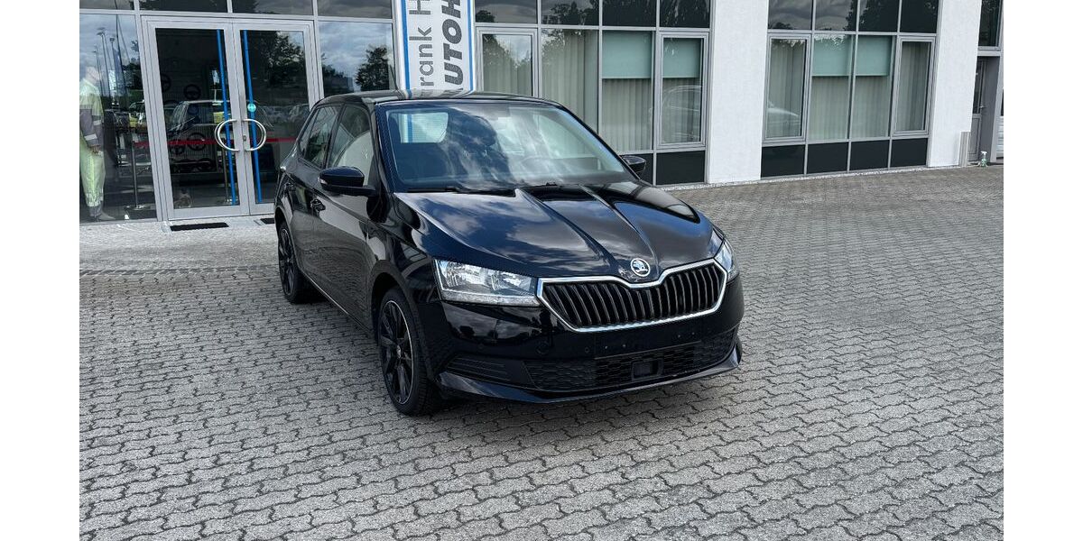 Skoda Fabia 50.000 km 13.900 &euro; Wolfsburg 38444