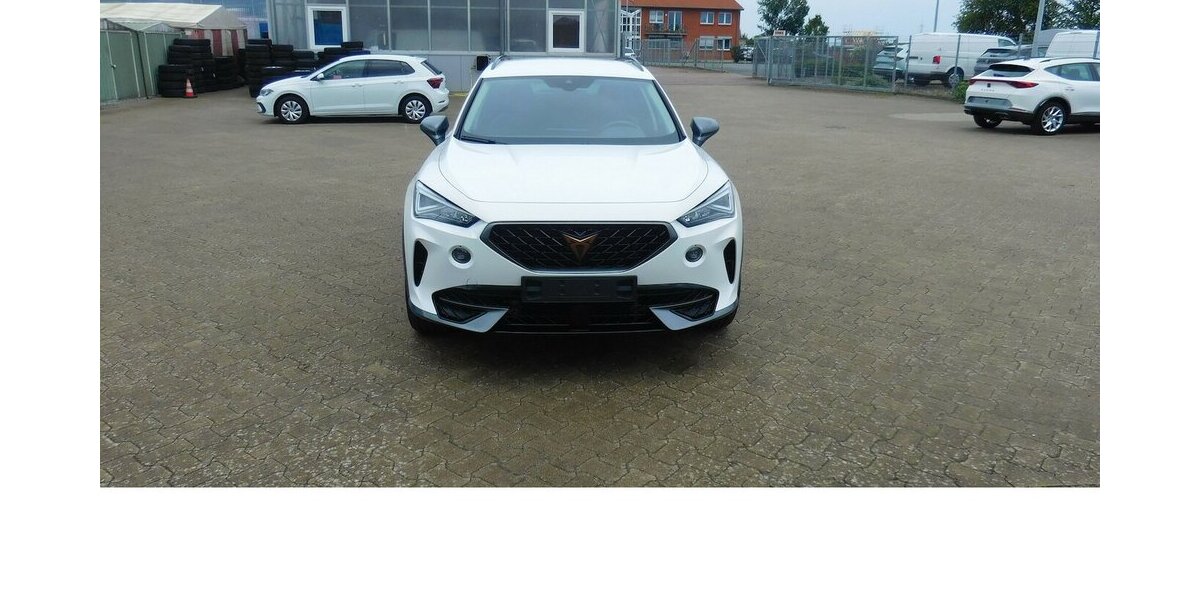 Cupra Formentor 1.5 TSI BMT Klima LED Alu Navi 23.800 km 21.490 &euro; Vordorf 38533