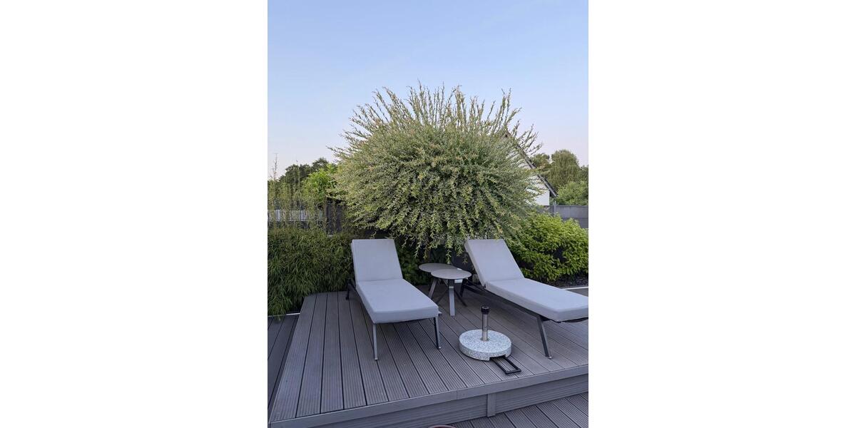 Einfamilienhaus Wolfsburg Almke - 890.000&euro; | Angebot:26995776