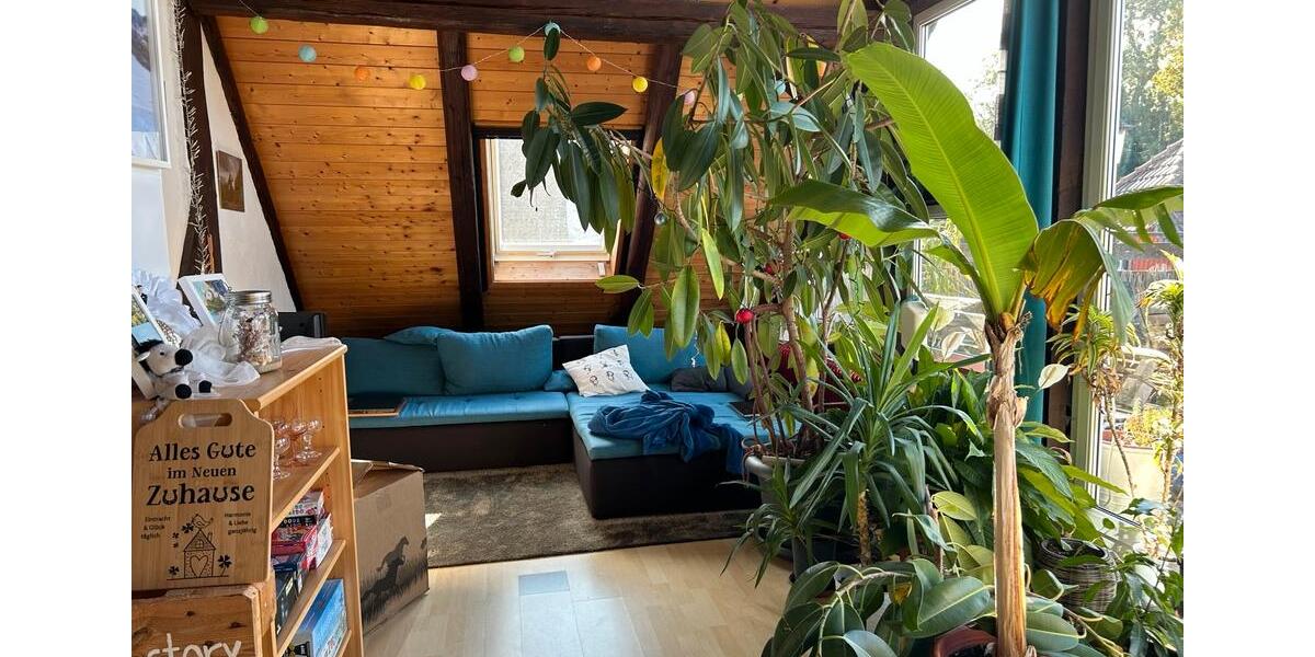 Charmante Dachgeschosswohnung in Vechelde OT Bodenstedt 2 zimmer