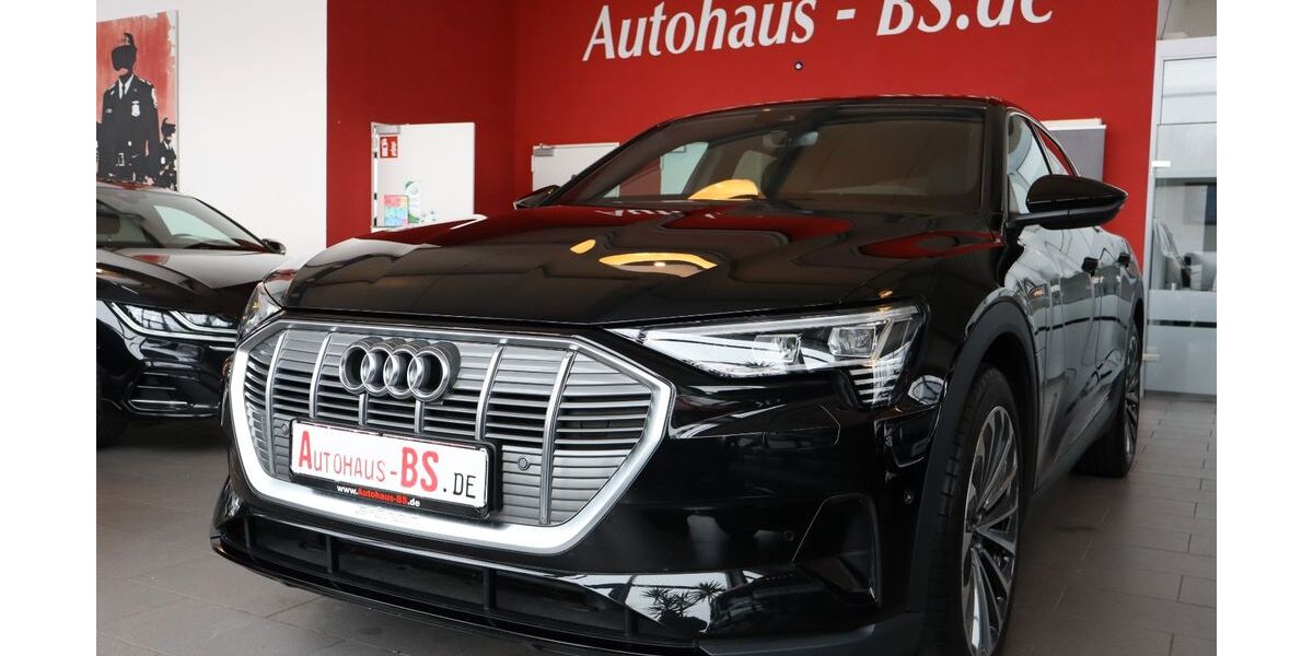 Audi e-tron 54.060 km 26.859 &euro; Braunschweig 38116