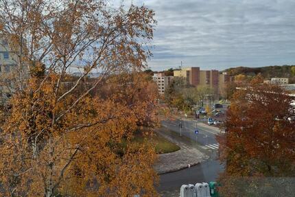 Wohnung Wolfsburg Alt-Wolfsburg - 3 Zimmer, 68 m&sup2;, 135.000&euro; | Angebot:24859158