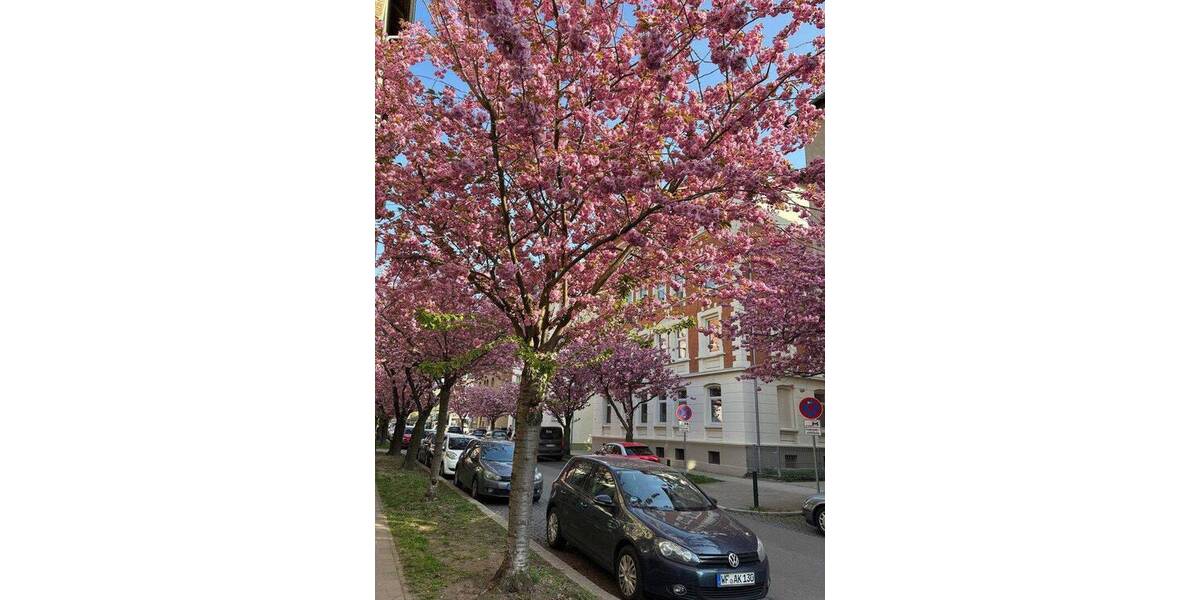 Etagenwohnung Braunschweig Nordstadt - 2 Zimmer, 62 m&sup2;, 560&euro; | Angebot:26919376