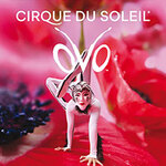 Komfort-Upgrade - Cirque du Soleil - OVO