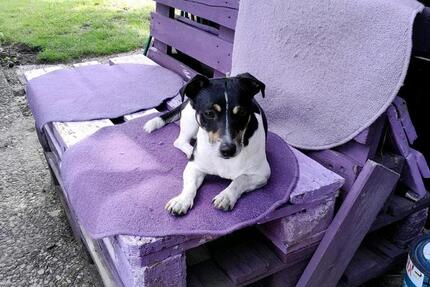 Haus Sassenburg - 2 Zimmer, 60 m&sup2;, 160.000&euro; | Angebot:24836918