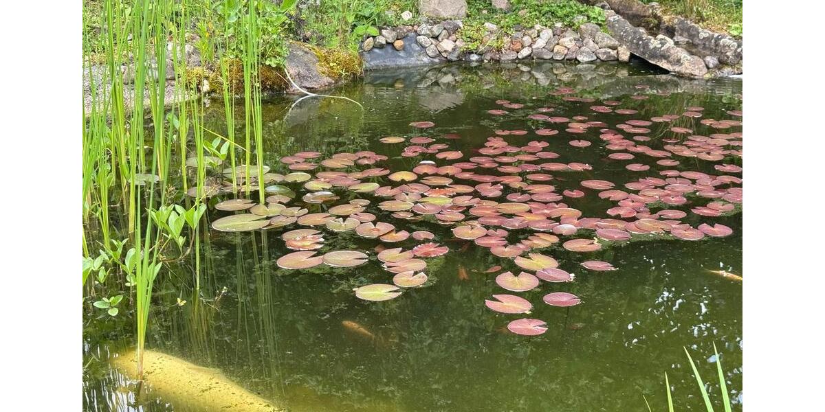 Einfamilienhaus Braunschweig Broitzem - 4 Zimmer, 130 m&sup2;, 675.000&euro; | Angebot:24468385