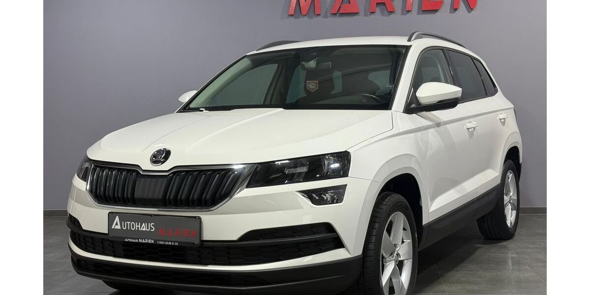 Skoda Karoq 99.986 km 17.890 &euro; Braunschweig 38112