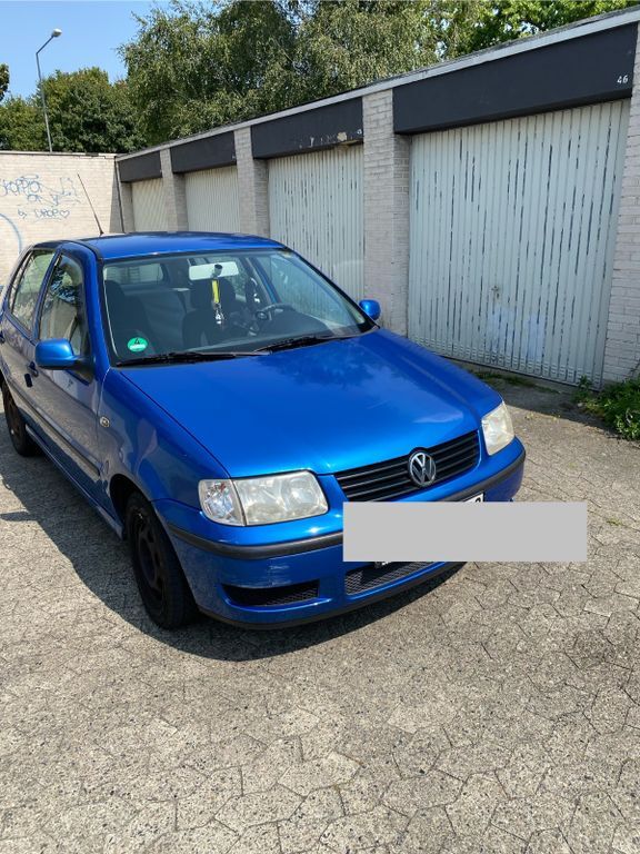 Polo