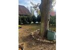 Einfamilienhaus Lehre - 5 Zimmer, 187 m&sup2;, 1.750&euro; | Angebot:26609584