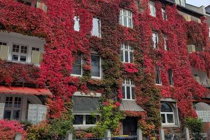 Wohnung Braunschweig Lehndorf-Watenbüttel - 4 Zimmer, 116 m&sup2;, 309.000&euro; | Angebot:26534749