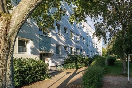 Möchten Sie entspannt wohnen – mit Loggia und Tageslichtbad? 3 zimmer