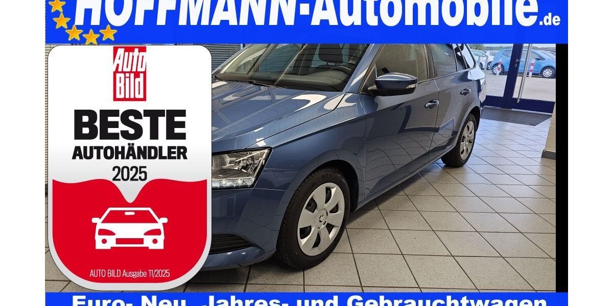 Skoda Fabia 93.592 km 12.800 € Wolfsburg-Heiligendorf 38444