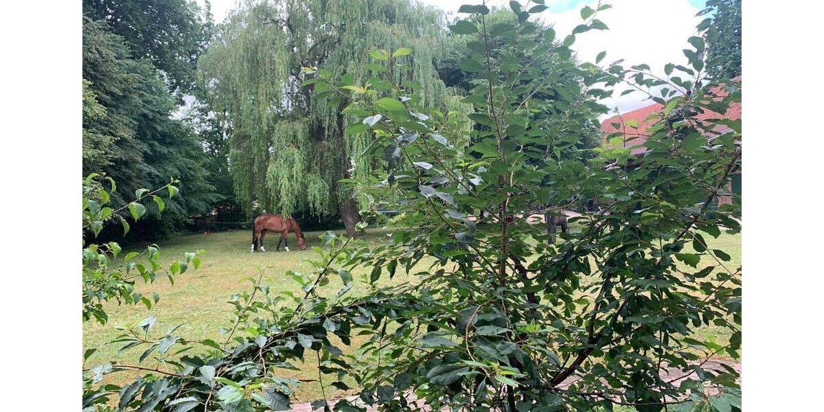 Bauernhaus, Landhaus Königslutter am Elm - 14 Zimmer, 420 m&sup2;, 749.000&euro; | Angebot:26606022