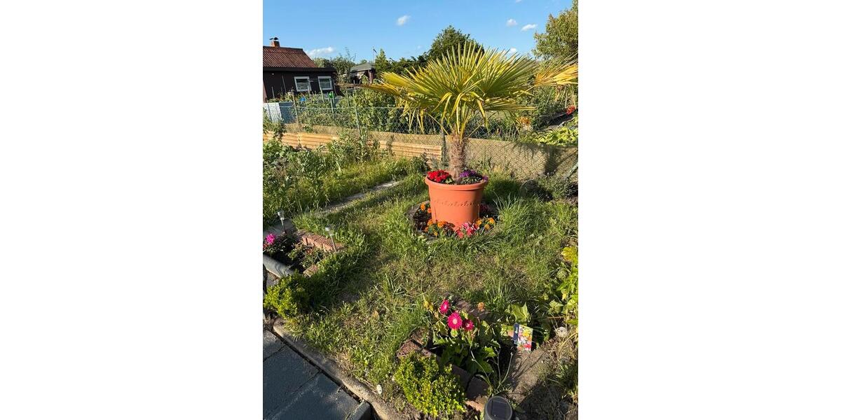 Grundstück Braunschweig Lehndorf-Watenbüttel - 4.500&euro; | Angebot:26217325