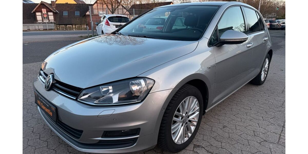 VW Golf 135.000 km 7.990 &euro; Lehre 38165