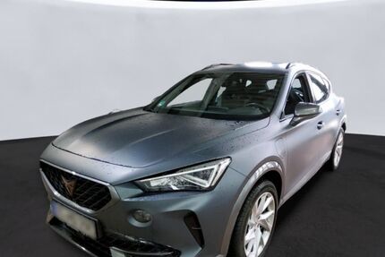 Cupra Formentor 101.730 km 21.890 &euro; Braunschweig 38114