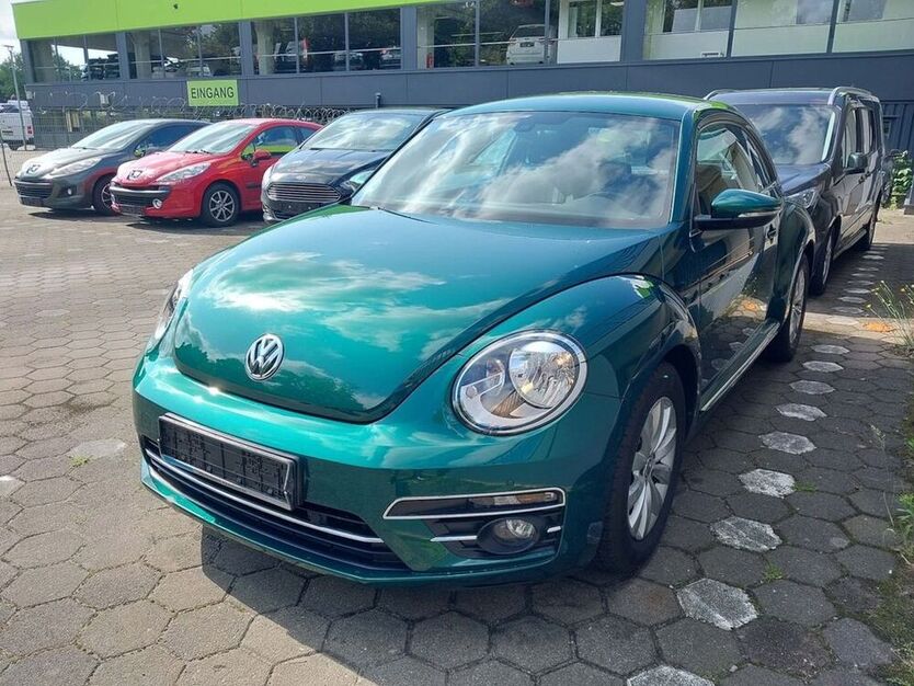 Beetle