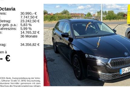 Skoda Octavia 11.500 km 30.780 &euro; Gifhorn 38518