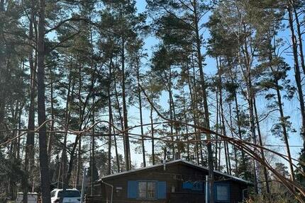 Haus Sassenburg - 3 Zimmer, 41 m&sup2;, 115.000&euro; | Angebot:25859949