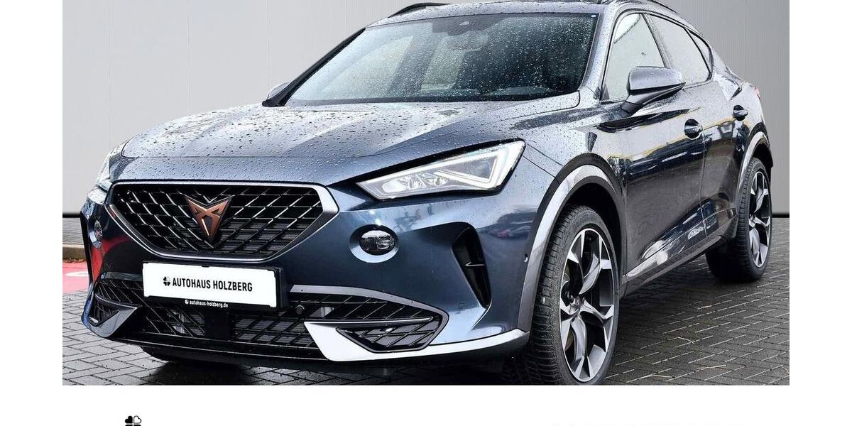 Cupra Formentor 88.750 km 24.475 &euro; Braunschweig 38114