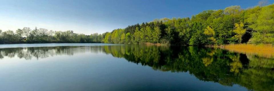 Einfamilienhaus Braunschweig Wabe-Schunter-Beberbach - 6 Zimmer, 313 m&sup2;, 1.499.000&euro; | Angebot:24830928