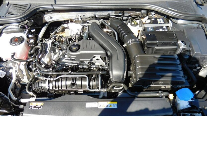 VW Golf VIII 1.5 TSI Navi Klima 6.700 km 20.990 € Vordorf 38533