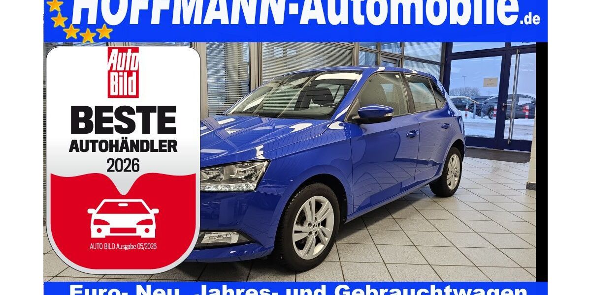 Skoda Fabia 45.906 km 13.200 &euro; Wolfsburg-Heiligendorf 38444