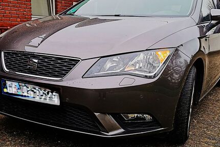 Seat Leon 238.922 km 5.999 &euro; Sassenburg 38524