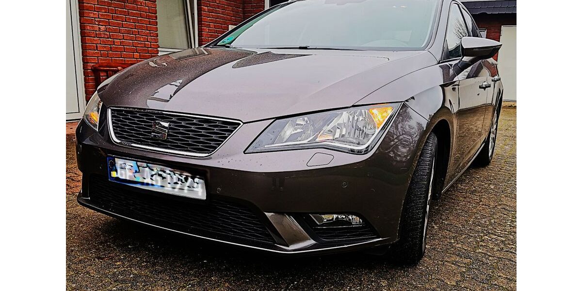 Seat Leon 238.922 km 5.999 &euro; Sassenburg 38524