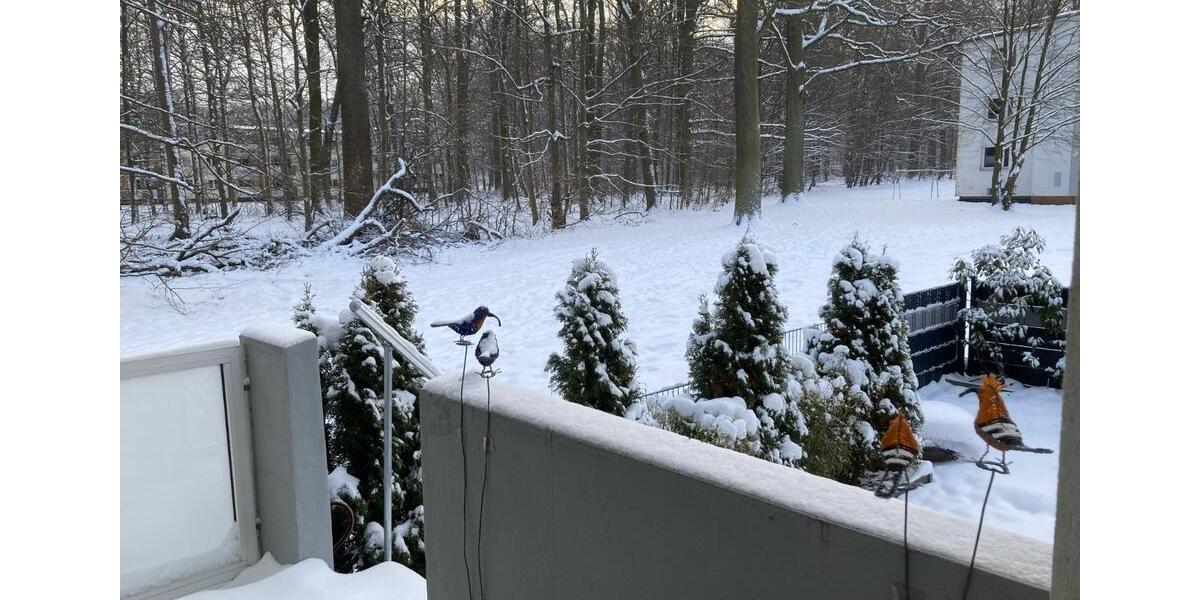 Erdgeschoßwohnung Wolfsburg Detmerode - 2 Zimmer, 53 m&sup2;, 733&euro; | Angebot:25174667