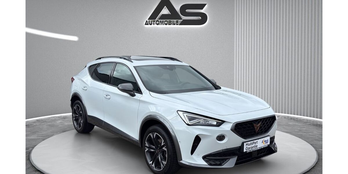 Cupra Formentor 46.180 km 22.480 &euro; Gifhorn 38518