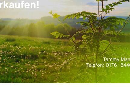 Tolles Baugrundstück für Doppelhaus oder Einfamilienhaus in Braunschweig Stöckheim zimmer